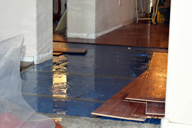 Professional Flood Cleanup technician working in Quincy, MA